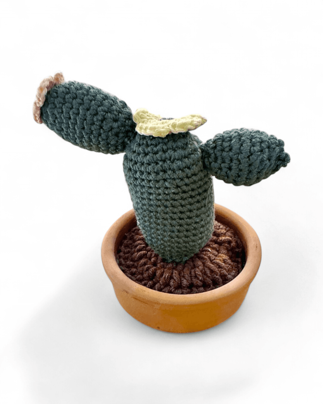 نبتة صبار بالكروشيه من متجر شغف الفن