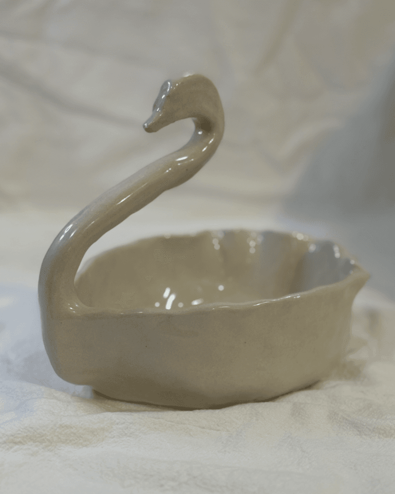 صورة وعاء البجعه - ستوديو قارڤ