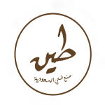 طين logo