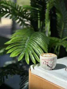 كوب أزهار الكرز بعبارتين 🌸